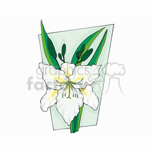 flower120 clipart. Royalty-free image # 151275