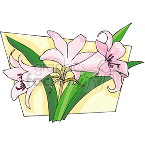 stem of 3 easter lily flowers clipart. Commercial use image # 151277