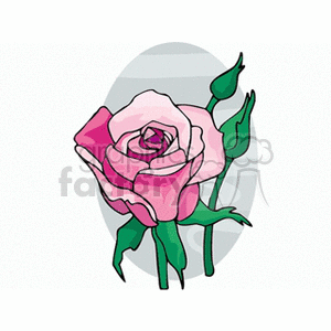 flower17 clipart. Royalty-free image # 151299