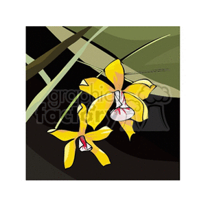 flower211212 clipart. Royalty-free image # 151313