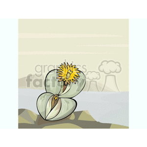 Yellow flower bursting from seed clipart. Commercial use image # 151321