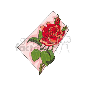 rose21312 clipart. Royalty-free image # 151586