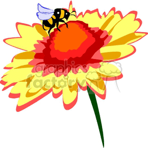 Yellow flower with bumble bee clipart. Commercial use image # 151615