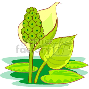 Blooming water plants clipart. Royalty-free image # 151633