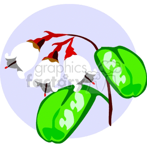 White bell shaped flowers clipart. Royalty-free image # 151635