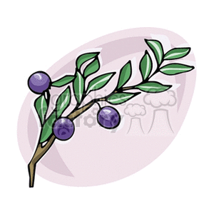   plant plants branch branches tree trees berry berries  blueberry.gif Clip Art Nature Plants 