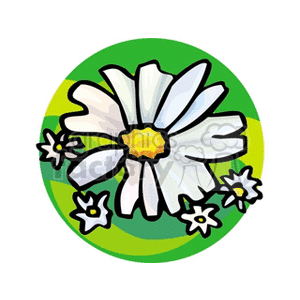 camomile1212 clipart. Commercial use image # 151975