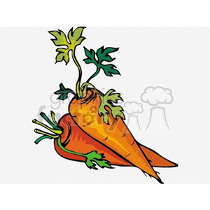 carrots clipart. Royalty-free image # 151979