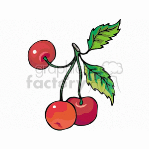   fruit cherry cherries  cherry1212.gif Clip Art Nature Plants 