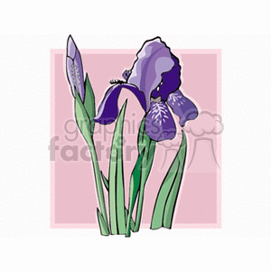 fleurdelis clipart. Royalty-free image # 152036