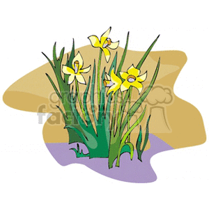 jonquil clipart. Commercial use image # 152095