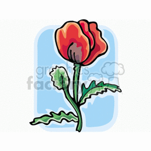 poppy clipart. Commercial use image # 152297