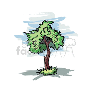 tree1212 clipart. Royalty-free image # 152343