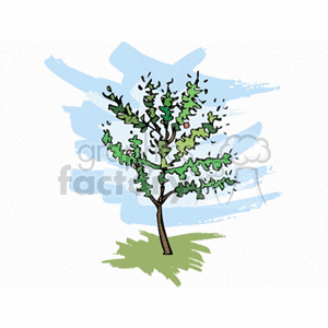 tree31212 clipart. Commercial use image # 152353