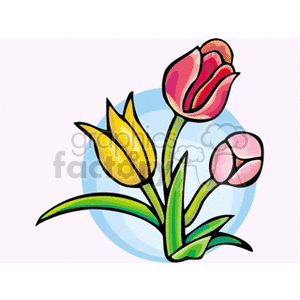 tulip1312 clipart. Royalty-free image # 152373