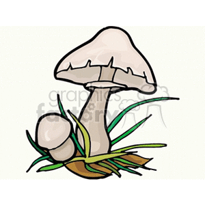 Wild mushrooms in the grass clipart. Royalty-free image # 152417