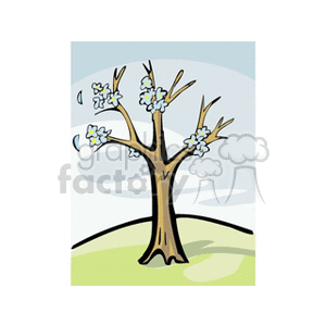 Flowering tree in meadow clipart. Commercial use image # 152574