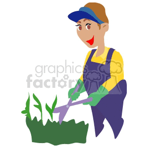 A Gardner Clipping a Green Hedge clipart.