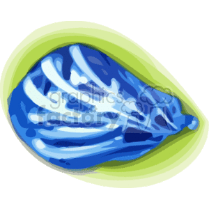blue tropical conch shell clipart. Royalty-free image # 163008