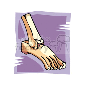 foot clipart. Royalty-free image # 165322