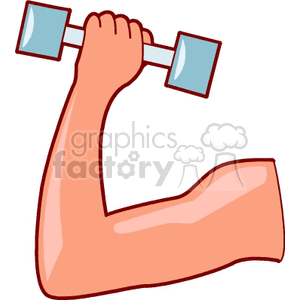   bodybuilder bodybuilders muscle muscles weight lifting weights barbell barbells fitness exercise exercising Clip Art Sports Fitness 