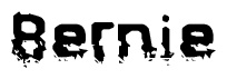 The image contains the word Bernie in a stylized font with a static looking effect at the bottom of the words