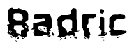 The image contains the word Badric in a stylized font with a static looking effect at the bottom of the words
