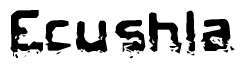 This nametag says Ecushla, and has a static looking effect at the bottom of the words. The words are in a stylized font.