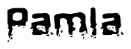 This nametag says Pamla, and has a static looking effect at the bottom of the words. The words are in a stylized font.