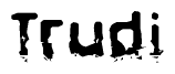 The image contains the word Trudi in a stylized font with a static looking effect at the bottom of the words