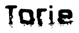 The image contains the word Torie in a stylized font with a static looking effect at the bottom of the words
