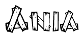 The image contains the name Ania written in a decorative, stylized font with a hand-drawn appearance. The lines are made up of what appears to be planks of wood, which are nailed together