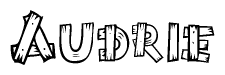 The image contains the name Audrie written in a decorative, stylized font with a hand-drawn appearance. The lines are made up of what appears to be planks of wood, which are nailed together
