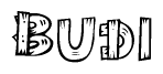 The image contains the name Budi written in a decorative, stylized font with a hand-drawn appearance. The lines are made up of what appears to be planks of wood, which are nailed together
