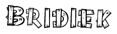 The image contains the name Bridiek written in a decorative, stylized font with a hand-drawn appearance. The lines are made up of what appears to be planks of wood, which are nailed together