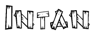 The image contains the name Intan written in a decorative, stylized font with a hand-drawn appearance. The lines are made up of what appears to be planks of wood, which are nailed together