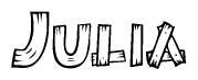 The image contains the name Julia written in a decorative, stylized font with a hand-drawn appearance. The lines are made up of what appears to be planks of wood, which are nailed together