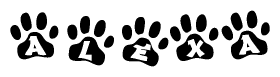 The image shows a series of animal paw prints arranged horizontally. Within each paw print, there's a letter; together they spell Alexa