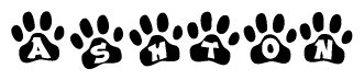 The image shows a series of animal paw prints arranged horizontally. Within each paw print, there's a letter; together they spell Ashton