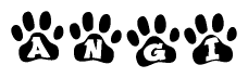 The image shows a row of animal paw prints, each containing a letter. The letters spell out the word Angi within the paw prints.