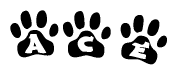 The image shows a series of animal paw prints arranged in a horizontal line. Each paw print contains a letter, and together they spell out the word Ace.