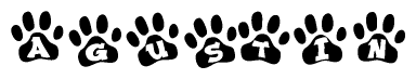 The image shows a series of animal paw prints arranged in a horizontal line. Each paw print contains a letter, and together they spell out the word Agustin.