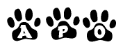 The image shows a series of animal paw prints arranged in a horizontal line. Each paw print contains a letter, and together they spell out the word Apo.