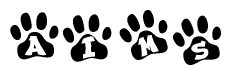 The image shows a series of animal paw prints arranged in a horizontal line. Each paw print contains a letter, and together they spell out the word Aims.