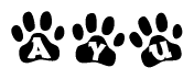 The image shows a series of animal paw prints arranged horizontally. Within each paw print, there's a letter; together they spell Ayu