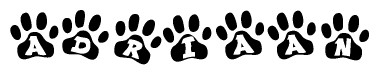 The image shows a series of animal paw prints arranged in a horizontal line. Each paw print contains a letter, and together they spell out the word Adriaan.