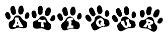 The image shows a series of animal paw prints arranged horizontally. Within each paw print, there's a letter; together they spell Atiqur