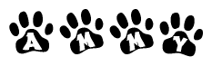 The image shows a series of animal paw prints arranged horizontally. Within each paw print, there's a letter; together they spell Ammy