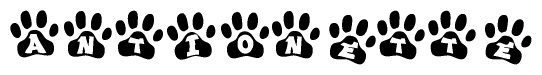 The image shows a series of animal paw prints arranged horizontally. Within each paw print, there's a letter; together they spell Antionette