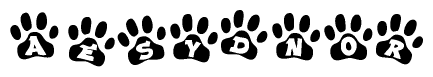 The image shows a series of animal paw prints arranged in a horizontal line. Each paw print contains a letter, and together they spell out the word Aesydnor.